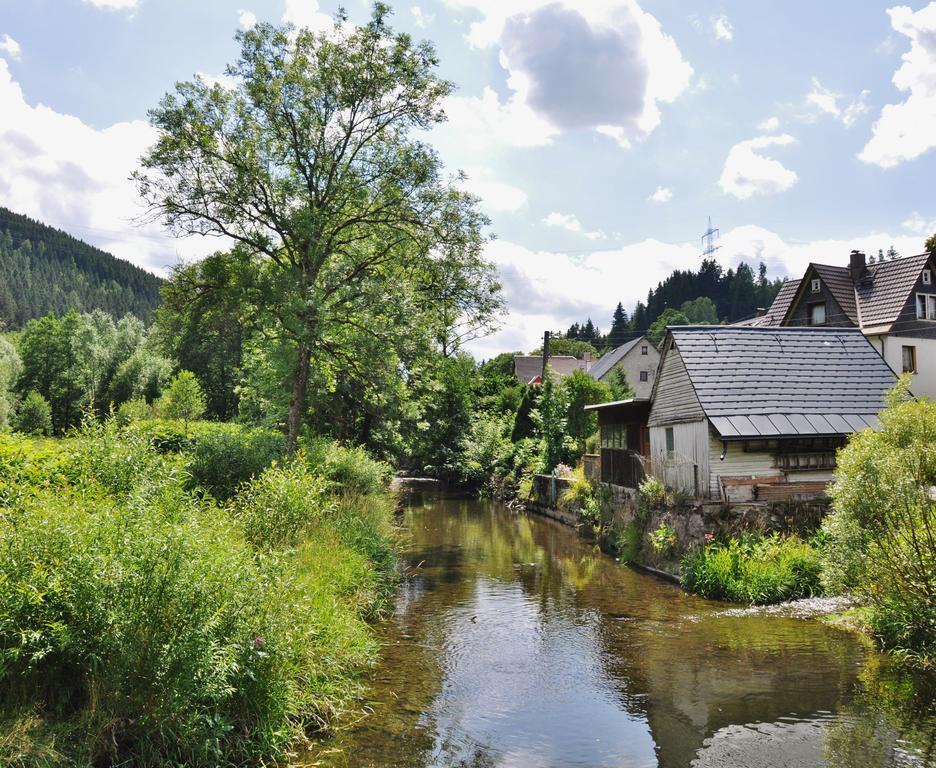 Flair-Hotel Waldfrieden Schwarzatal ภายนอก รูปภาพ