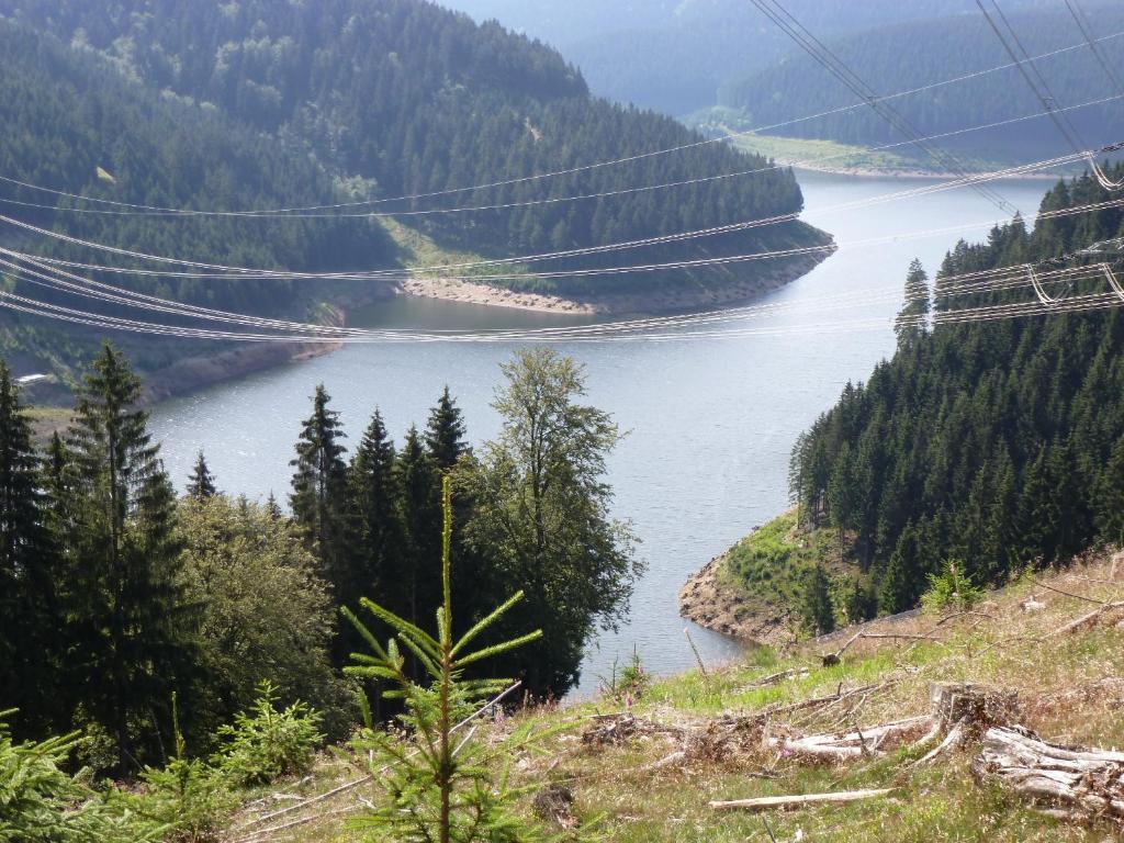 Flair-Hotel Waldfrieden Schwarzatal ภายนอก รูปภาพ