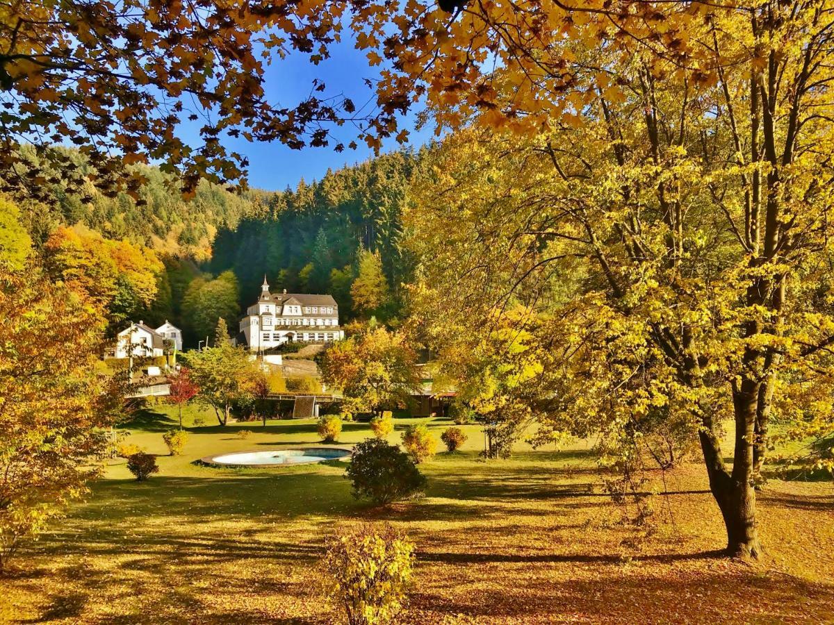 Flair-Hotel Waldfrieden Schwarzatal ภายนอก รูปภาพ