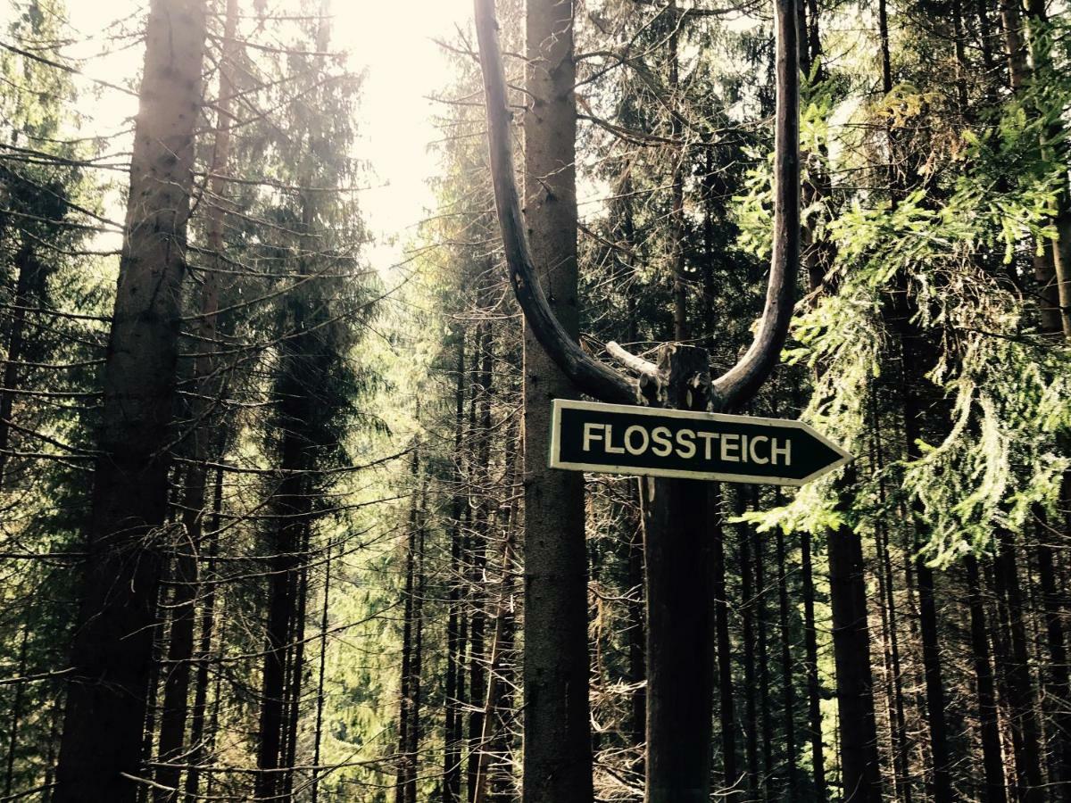 Flair-Hotel Waldfrieden Schwarzatal ภายนอก รูปภาพ
