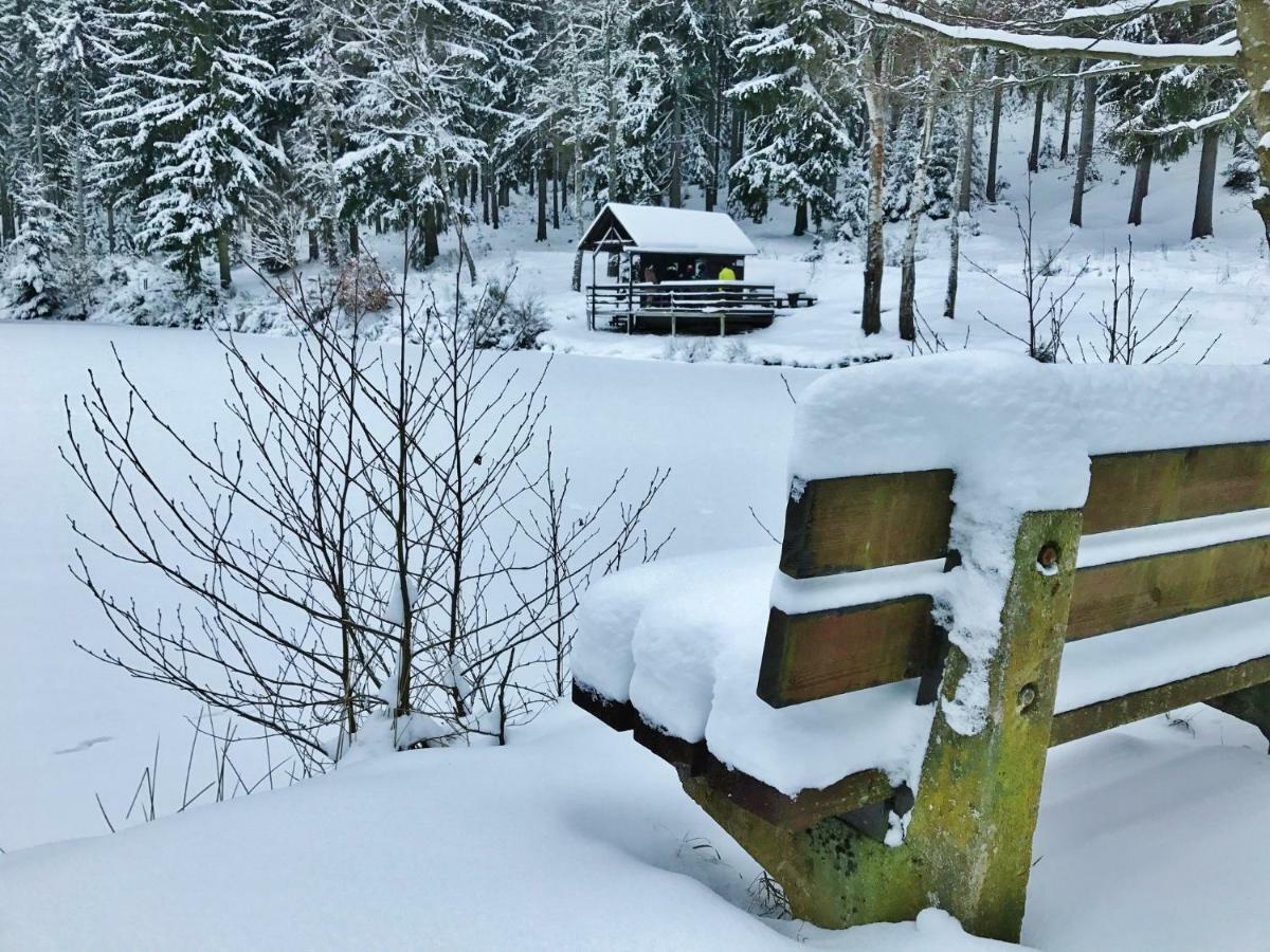 Flair-Hotel Waldfrieden Schwarzatal ภายนอก รูปภาพ